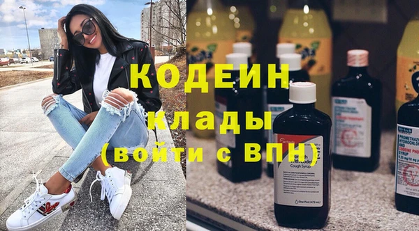 трава Белокуриха