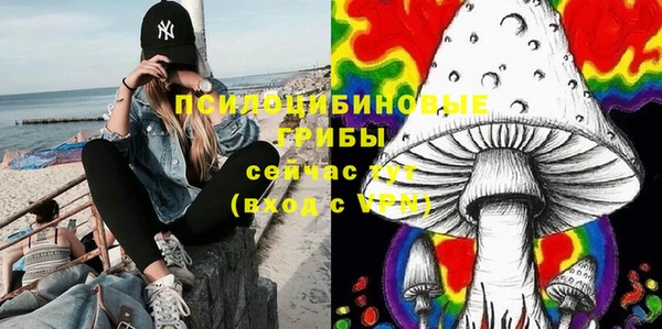 трава Белокуриха