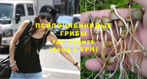 трава Белокуриха