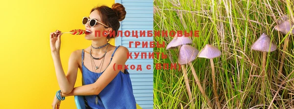 прущие крисы Балахна