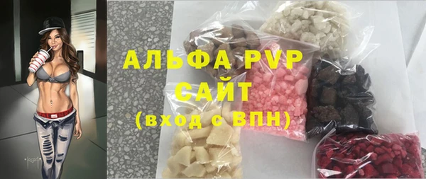 трава Белокуриха