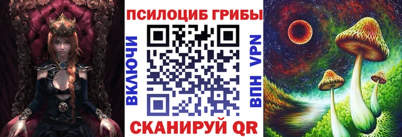 Галлюциногенные грибы мицелий  как найти   Вяземский 