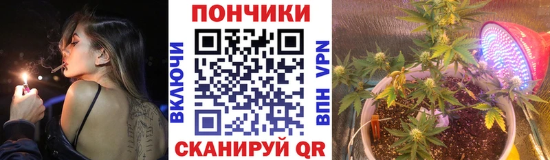Канабис план Вяземский